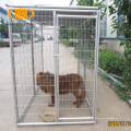 ISO &amp; CE Galvanized Solded Large Dog Crate Kennel